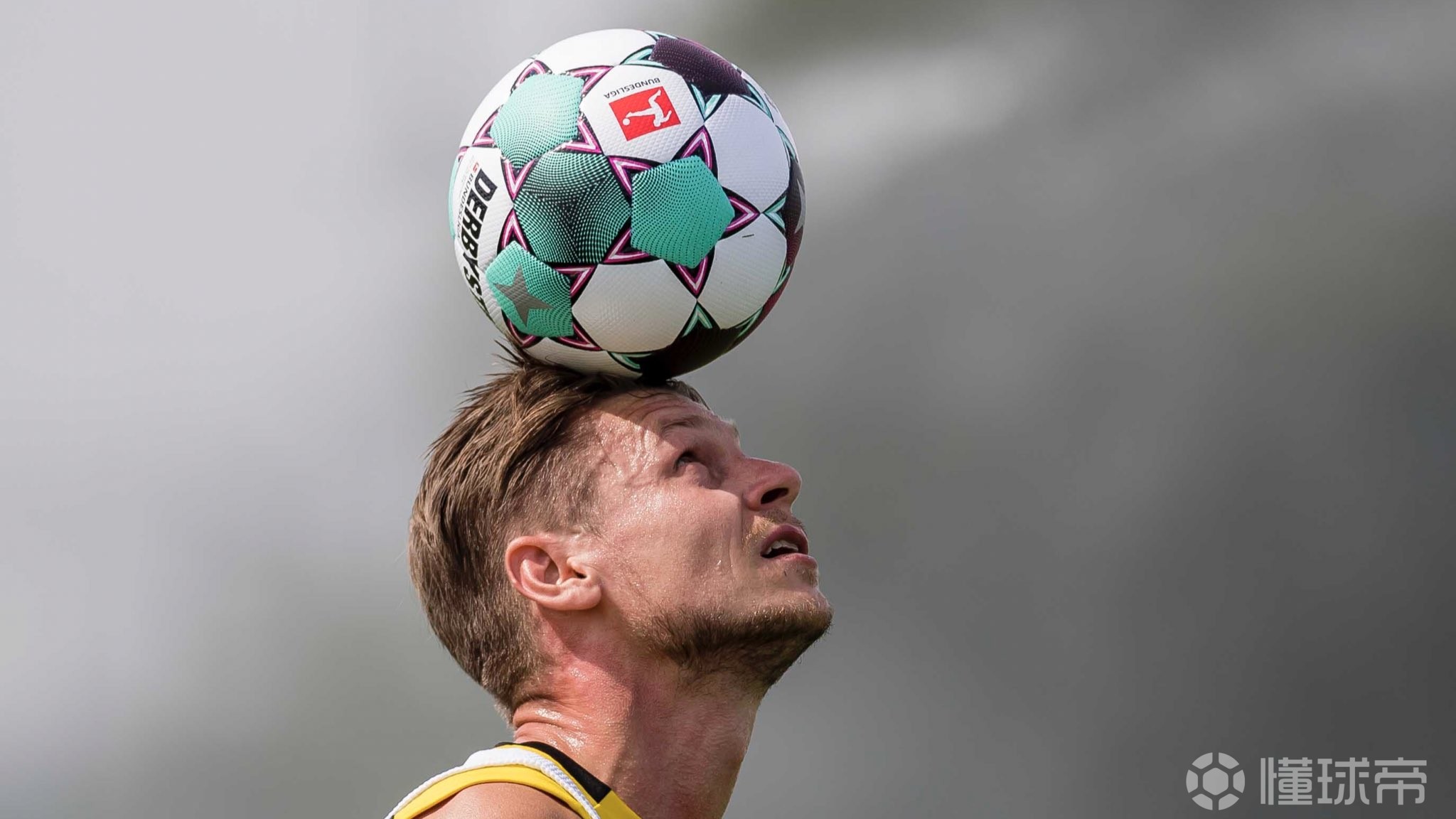 金年会国内通道-包含赛前萨克拉门托国王调整名单以备德国杯，伤情更新环节打磨，管理层满意，训练强度明显提升的词条