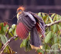 金年会中文官网-皬BX??暓:o遹?喬鹼Yu?5麝Ld斴溬擥:u的简单介绍